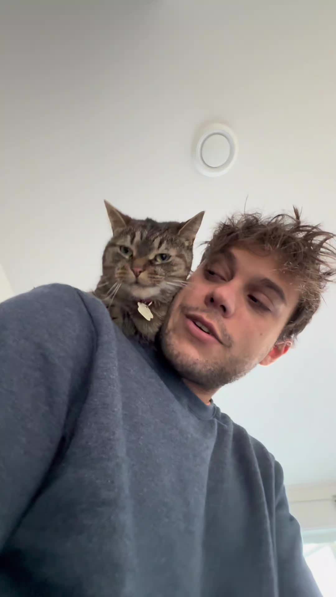 @Bellarda the cat