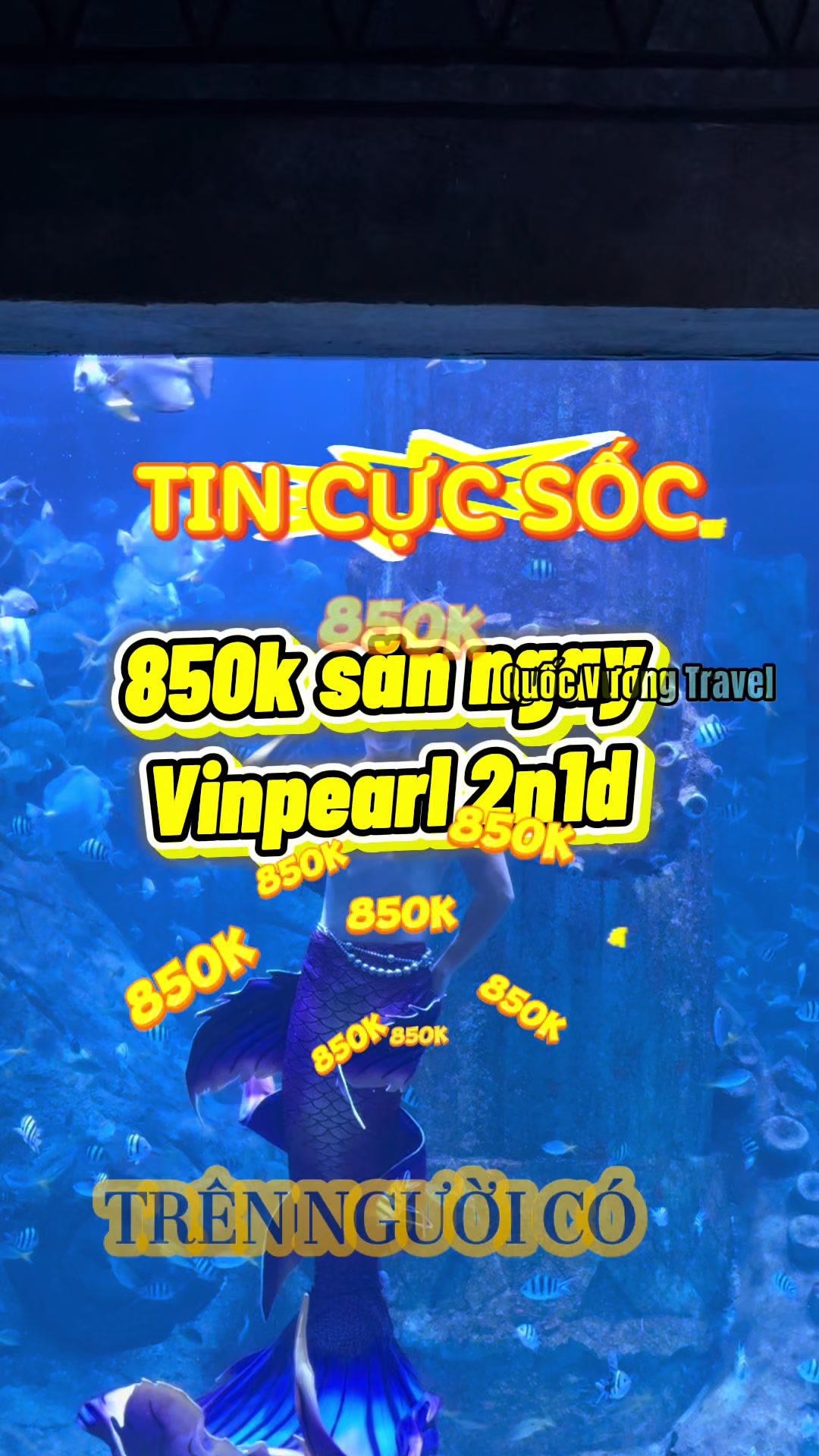 @Quốc Vương Nha Trang