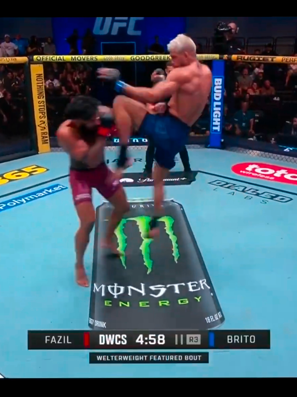@MMA KURDİSH