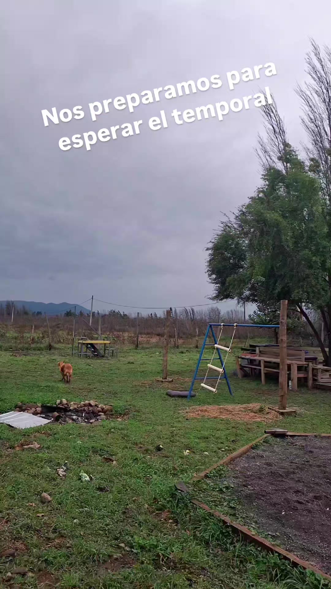 @eva_mastaburuaga