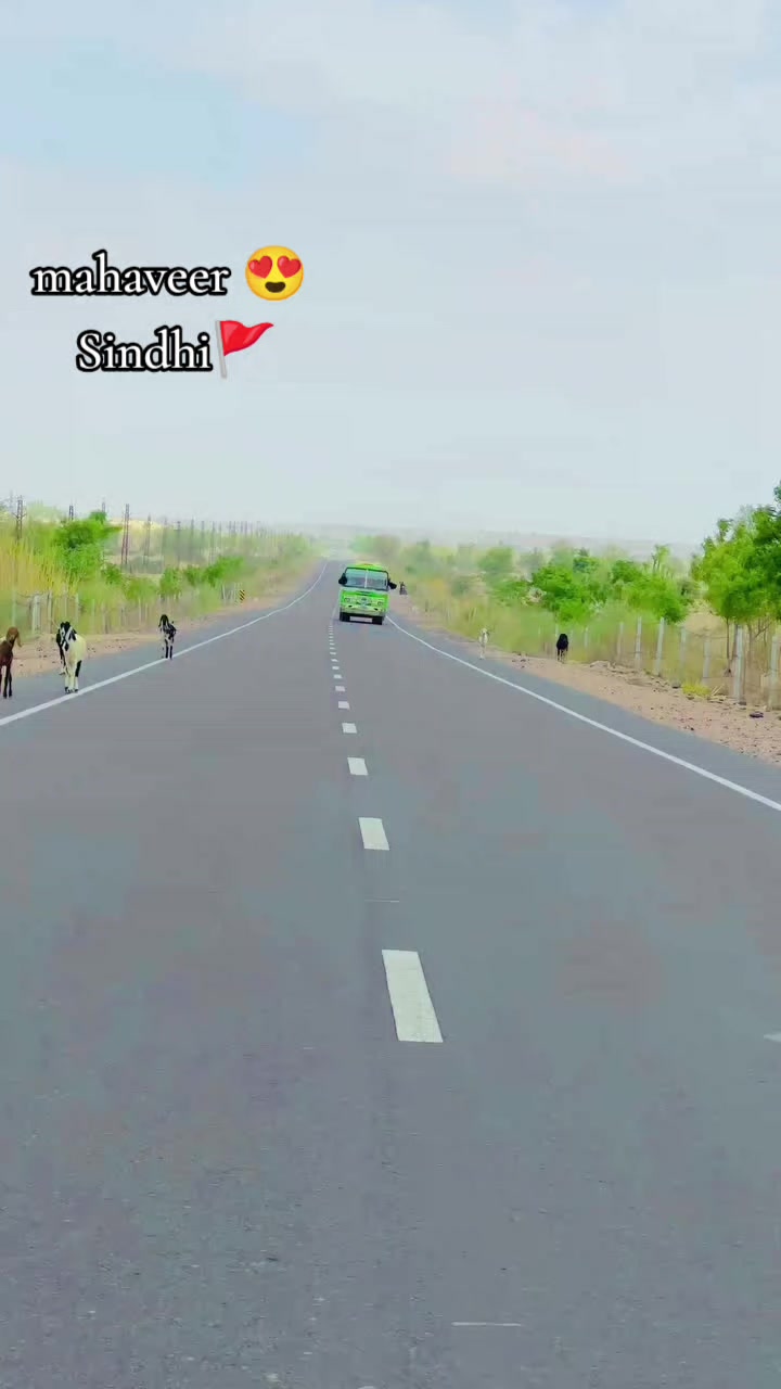 @𝗦𝗶𝗻𝗱𝗵𝗶 🍂༄.°