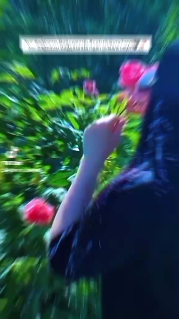 @🧜♀️SU PƏRİSİ🧜♀️