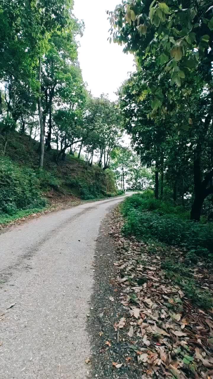 @subodh