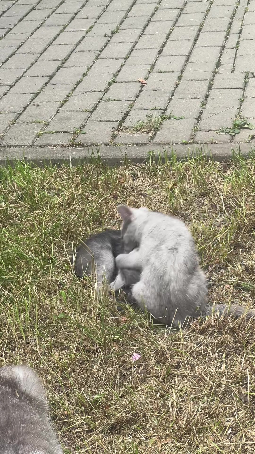 @Валюша🌸