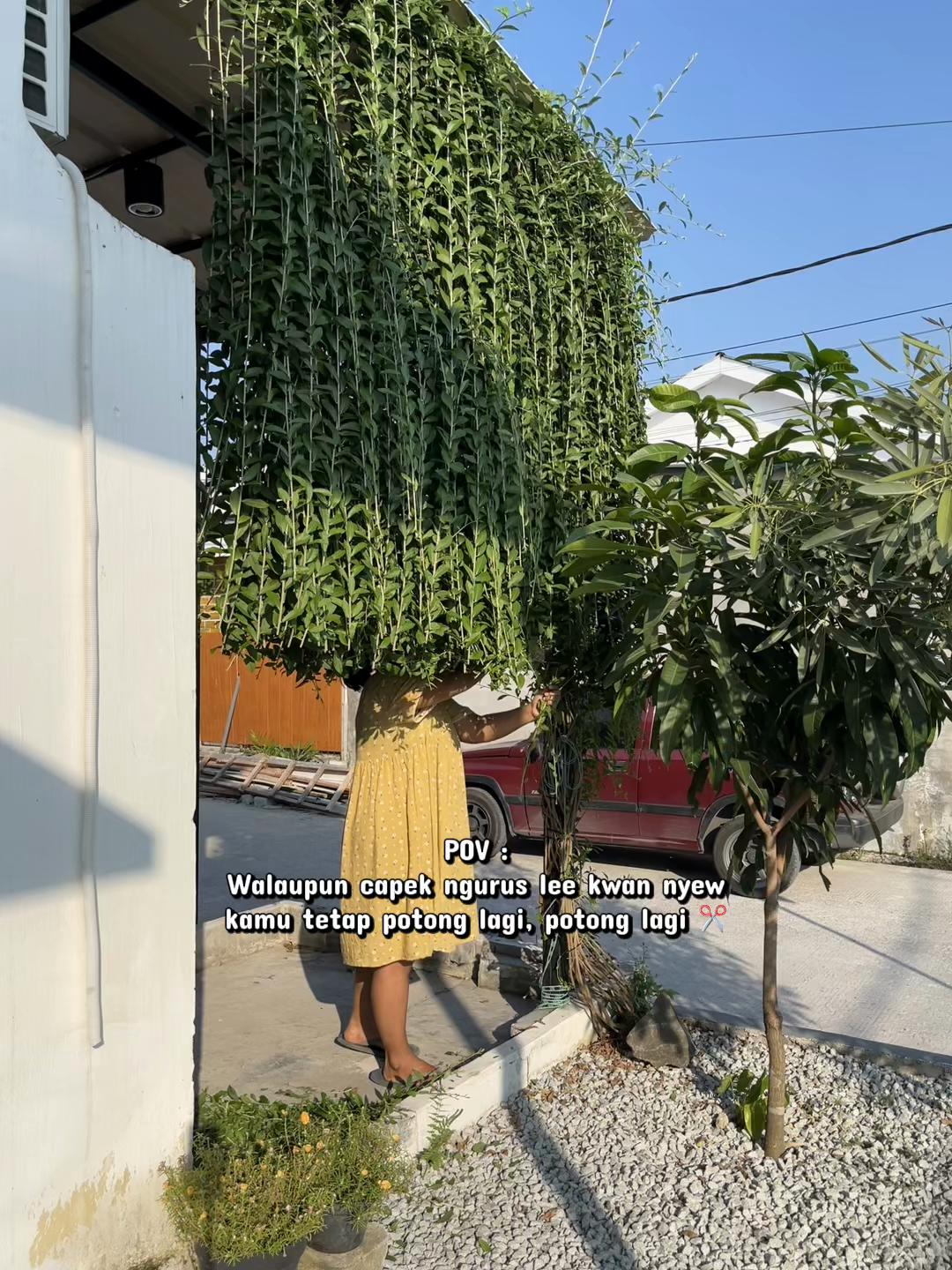 @Ibuna🏡