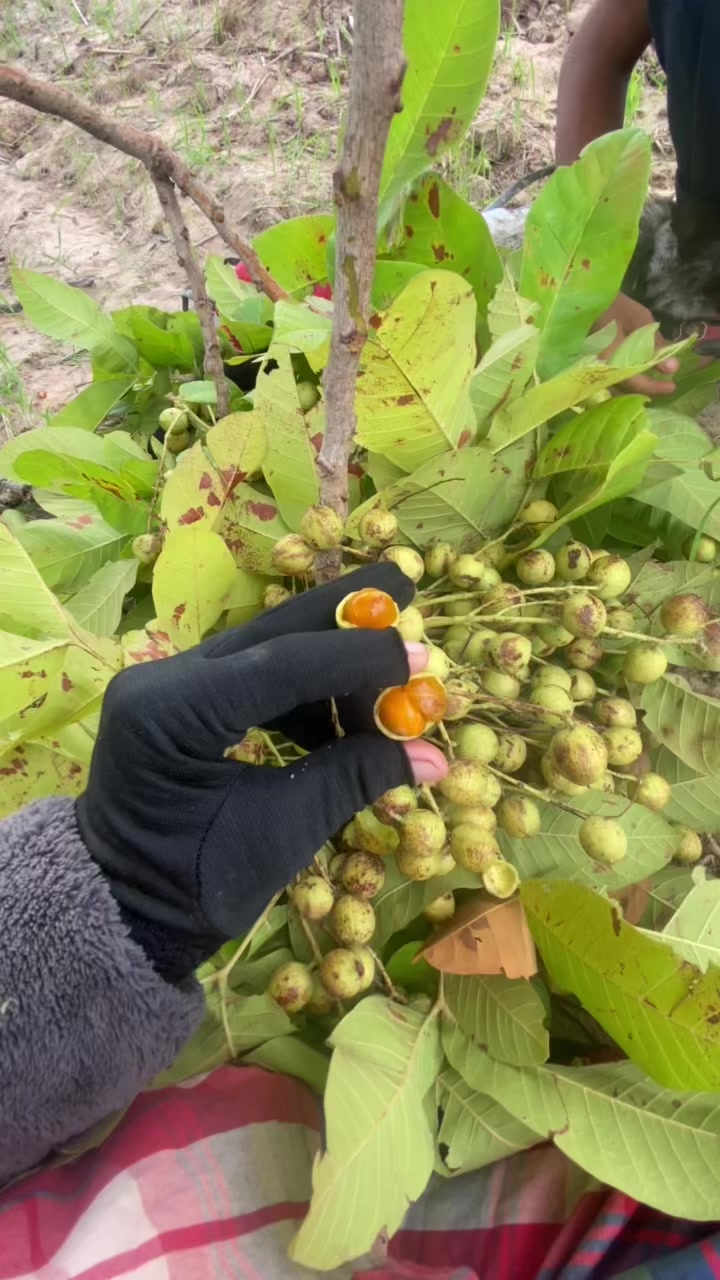 @ហៃ ស្រីនួន