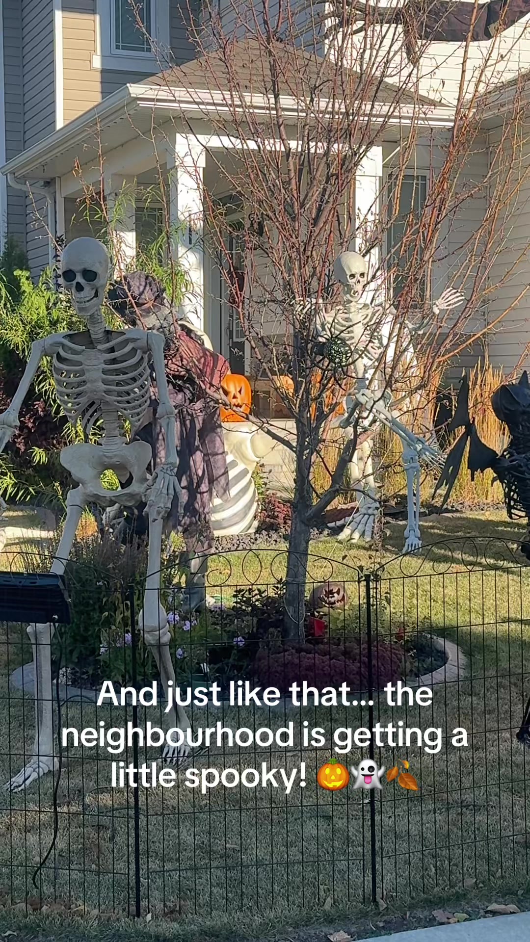 @SMARTHUBINSURANCE.COM