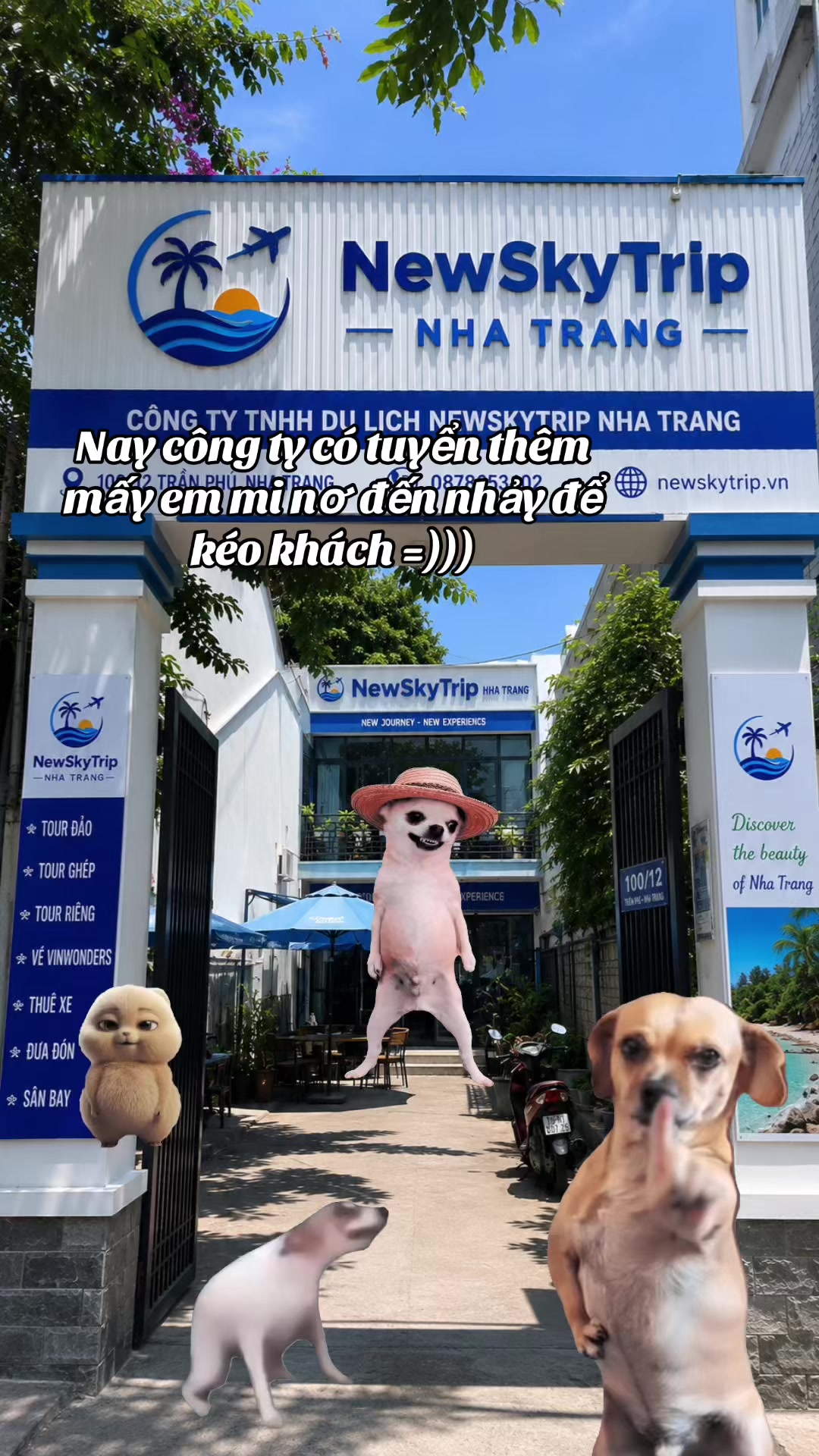 @NewSkyTrip-Nha Trang