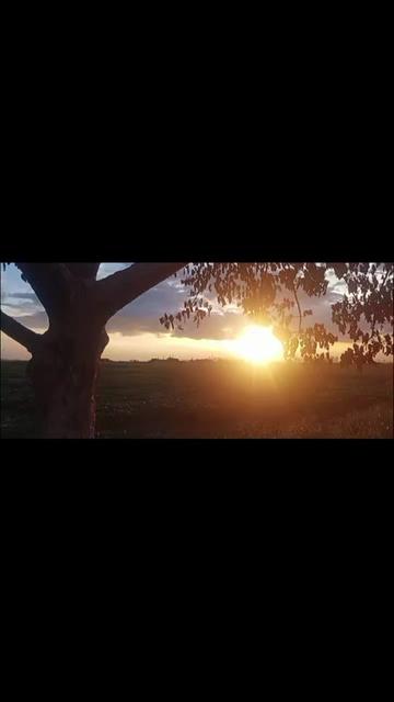 @NRPRedona
