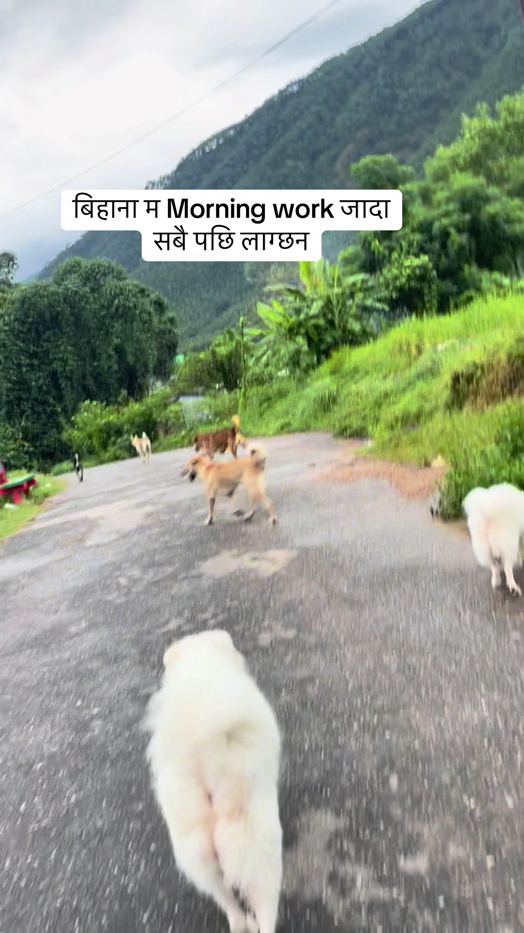 @🧿Mayara pukuli🐕🧿