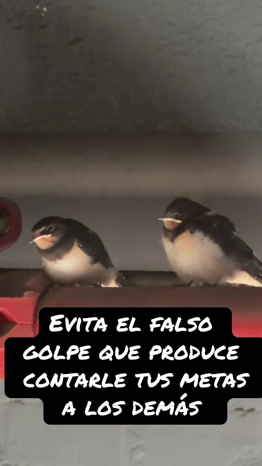 @Viviana Casta&ntilde;eda He