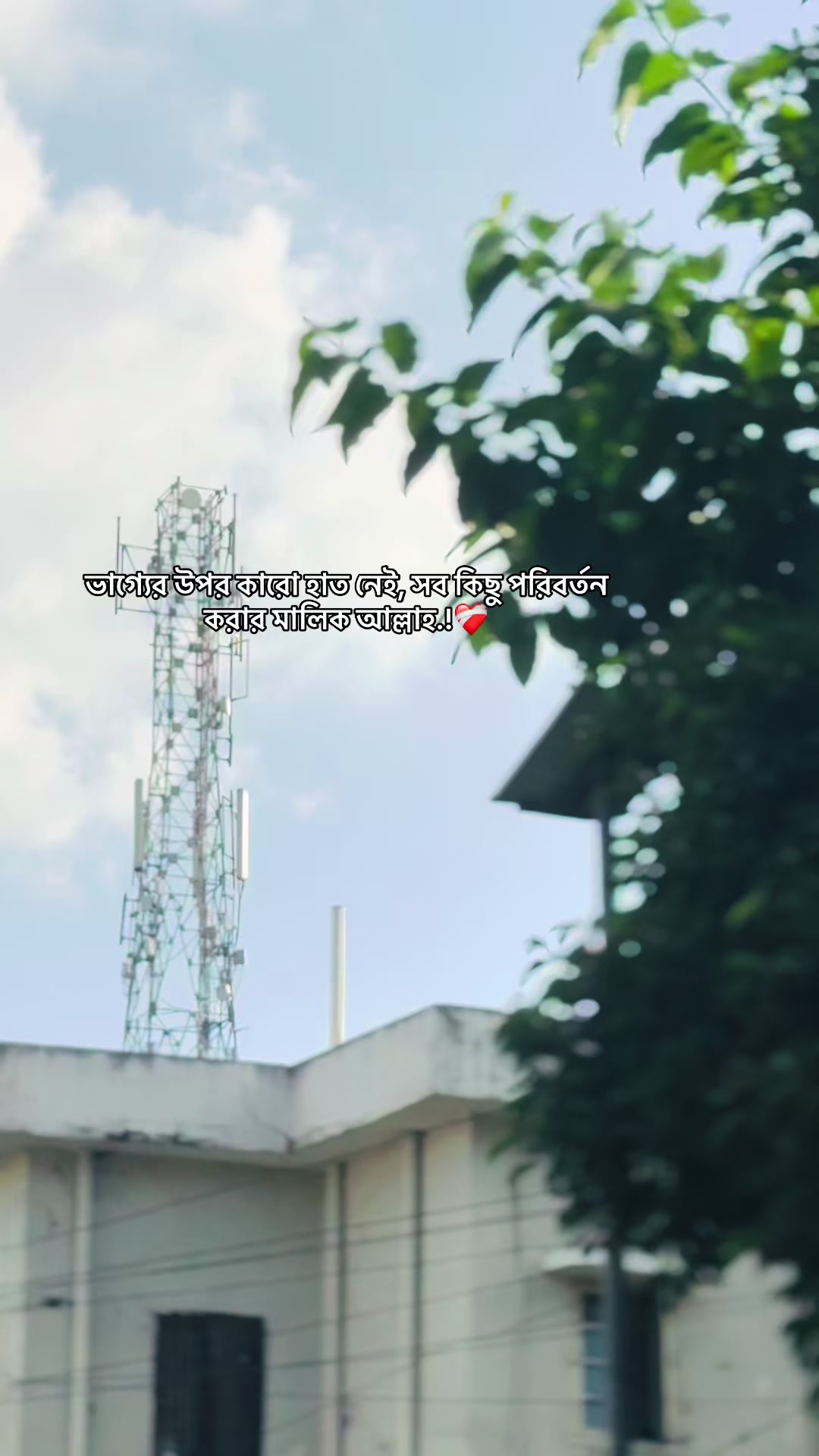 @♪~Ꭰꫝɪᴍᴏɴᴅ_🇲🇻