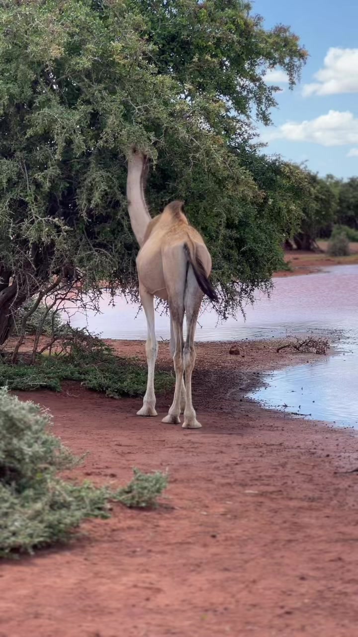@Yoonka 🦁