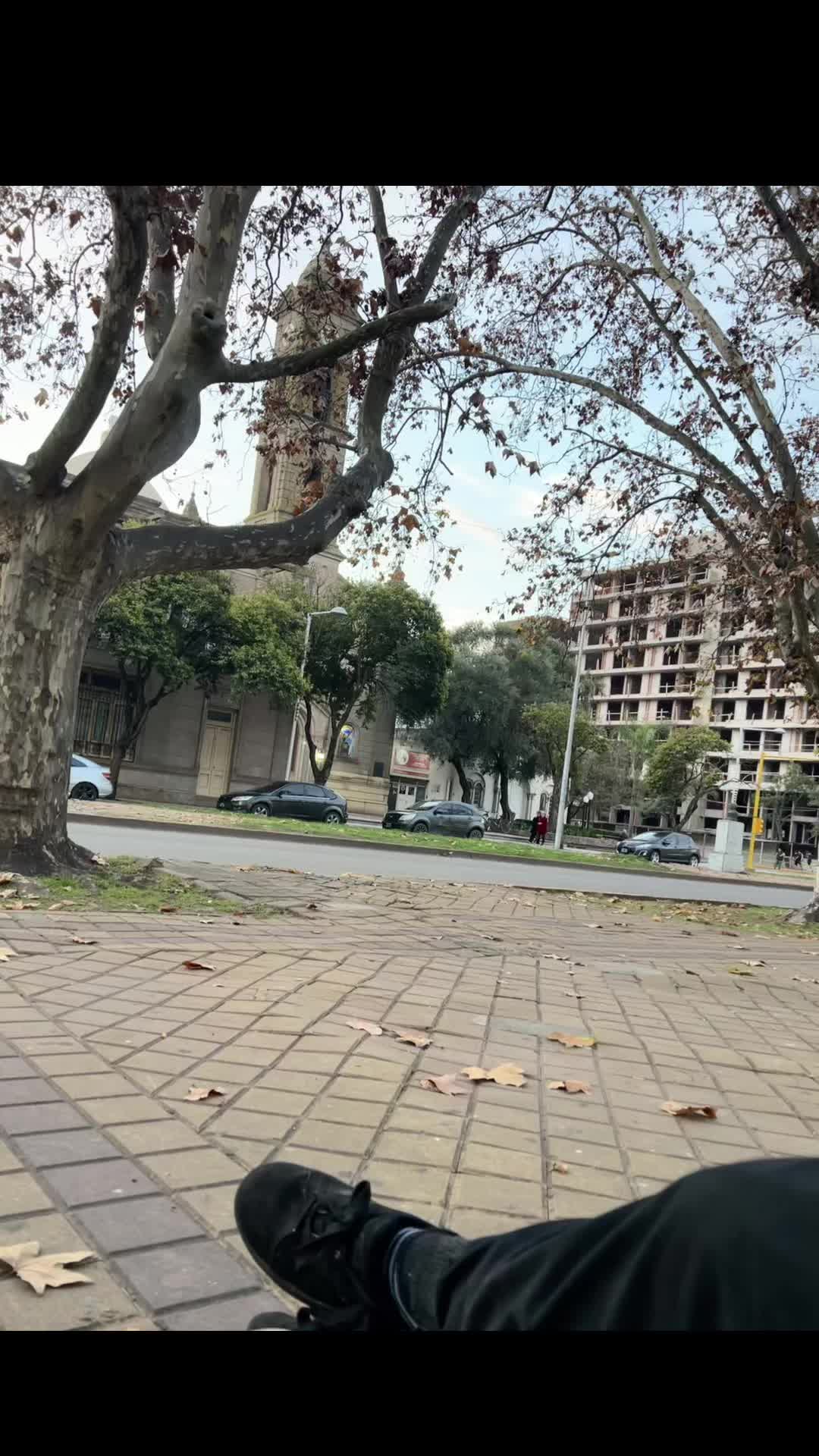 @Camila armoa