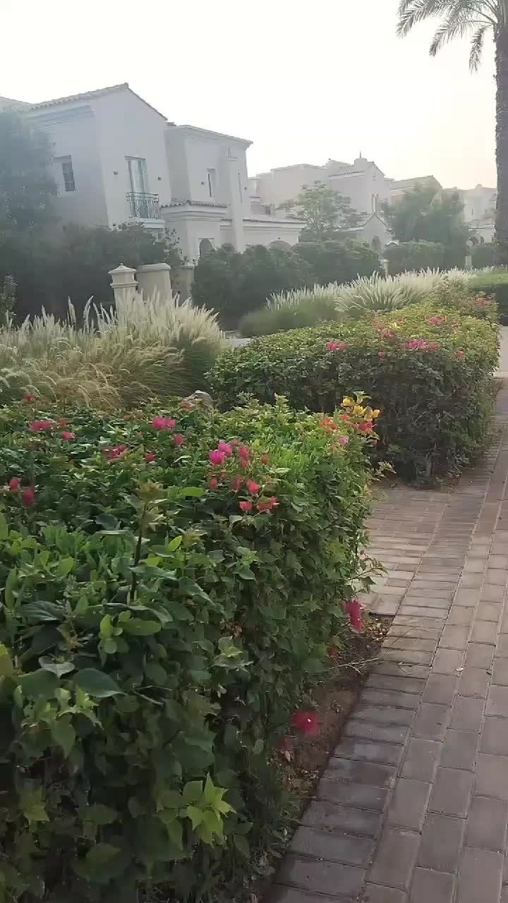 @नवराज पौडेल