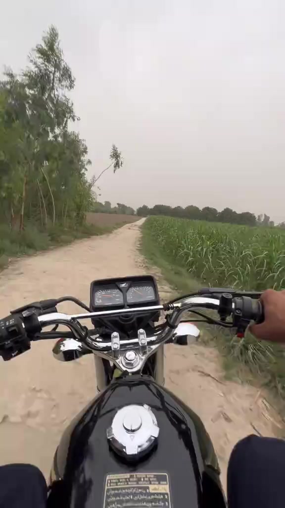 @حمزہ بن صفدر🖤