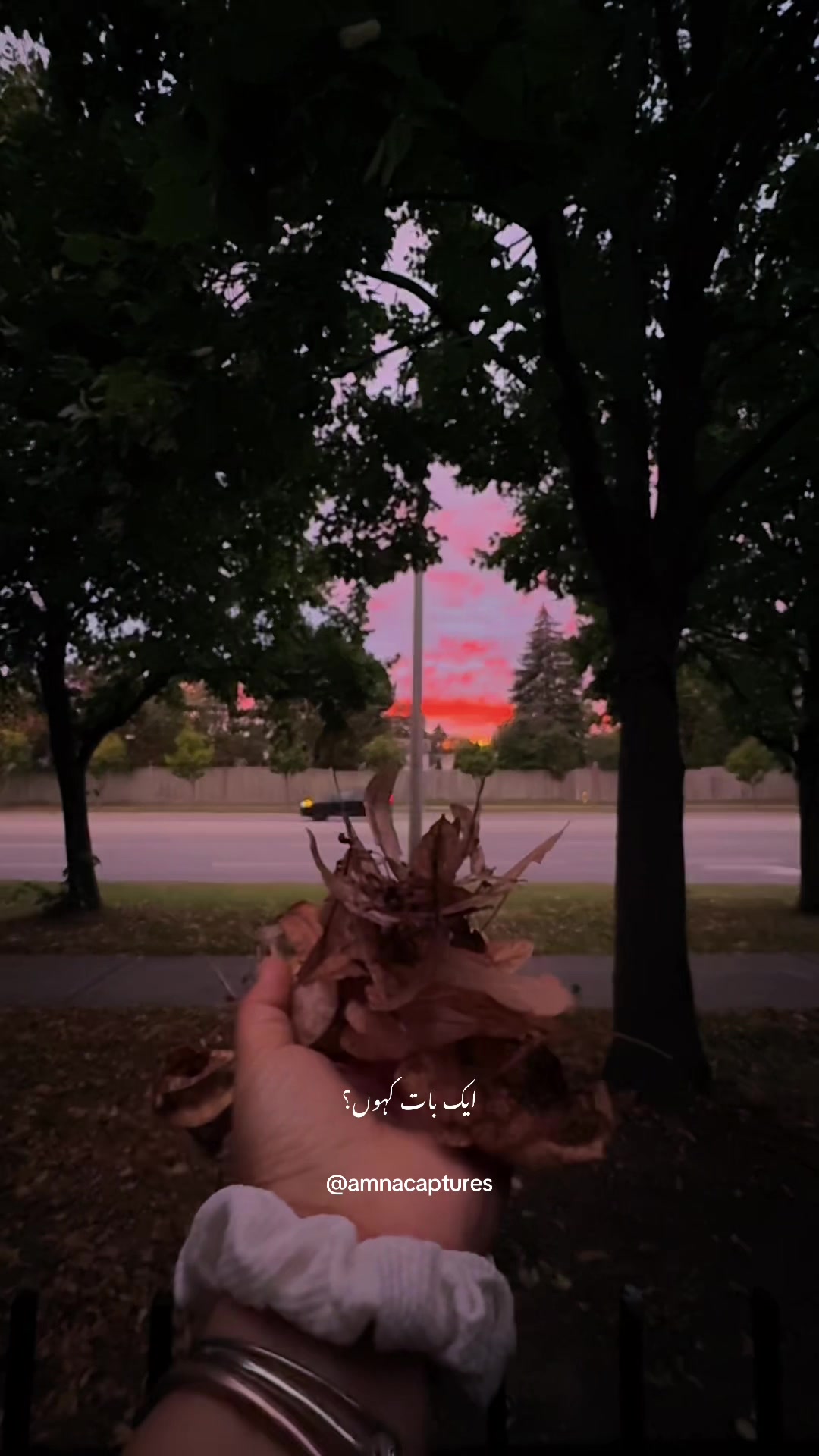 @Nature lover 🇨🇦
