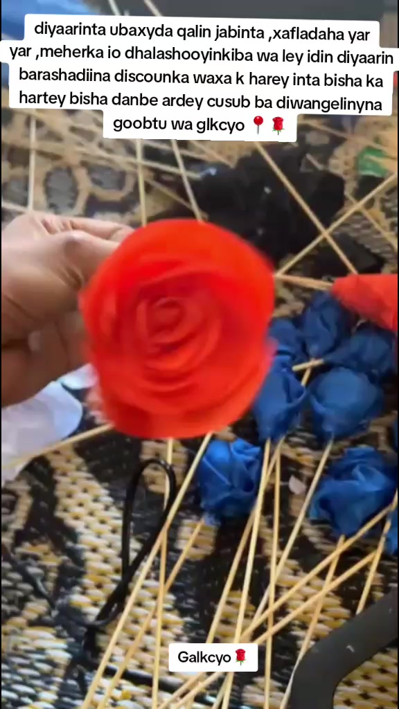 @Flower Galkio