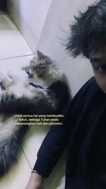 @ig. apinnofr_