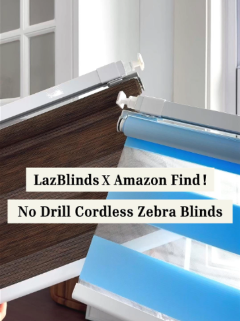 @LazBlinds