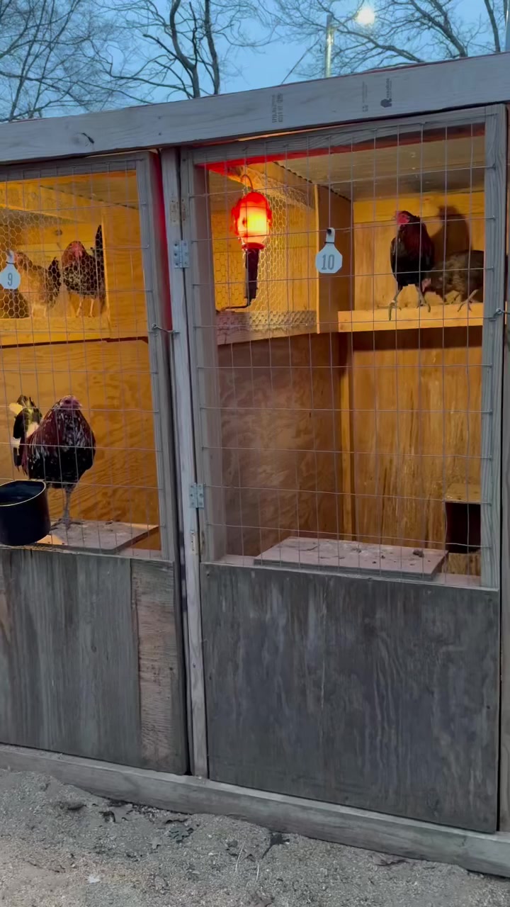 @G3 Farm & Fowl Supplies