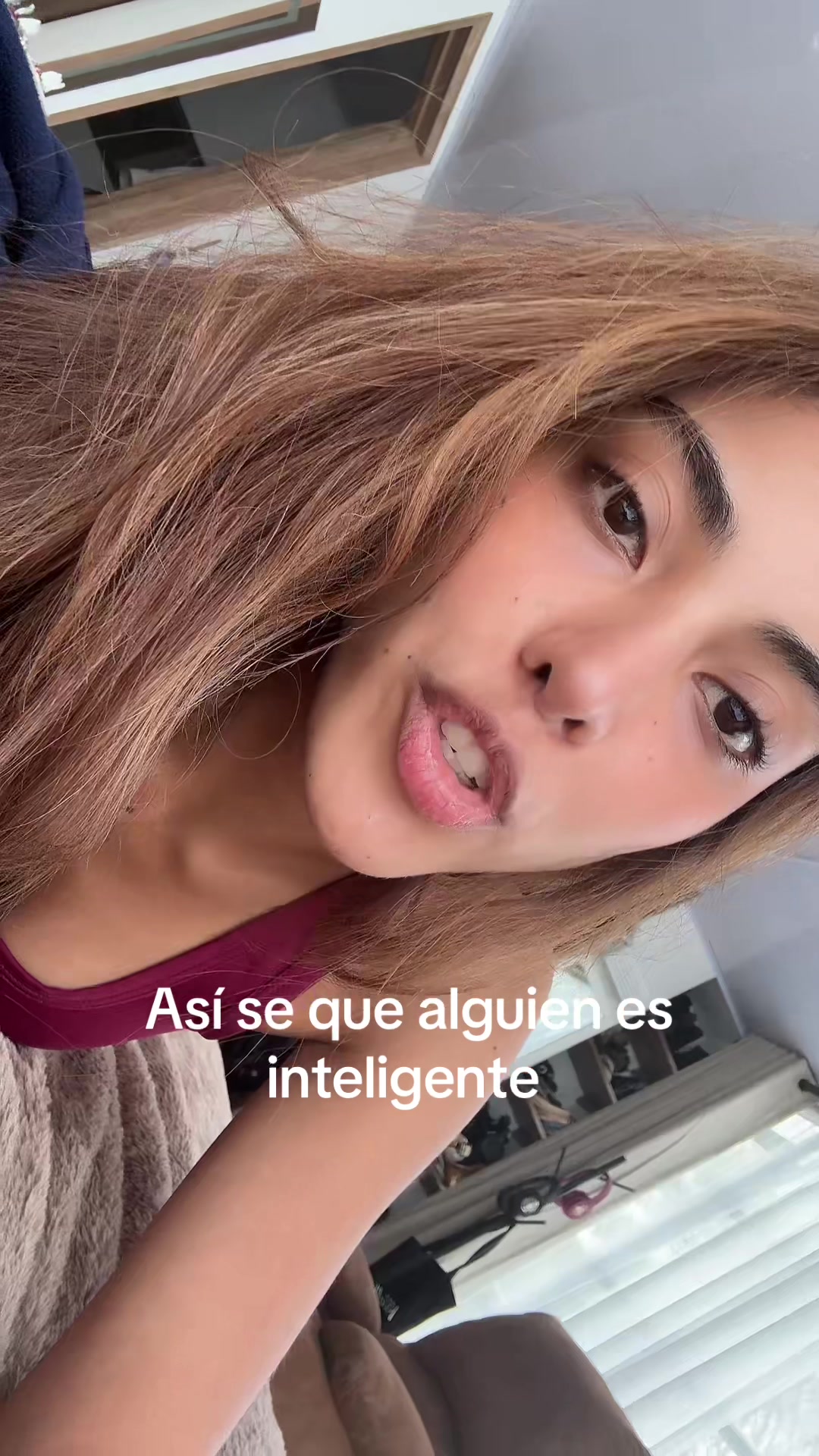 @sofilacuriosaa