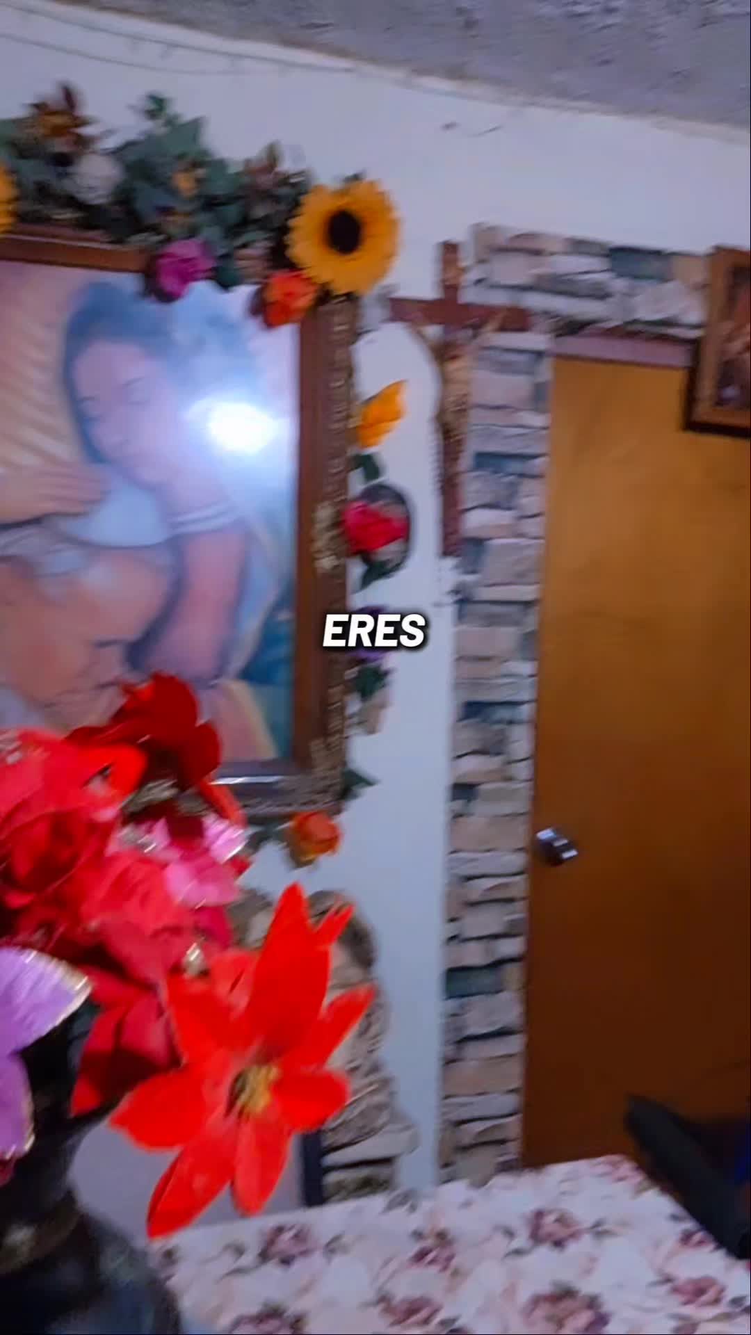 @José Augusto