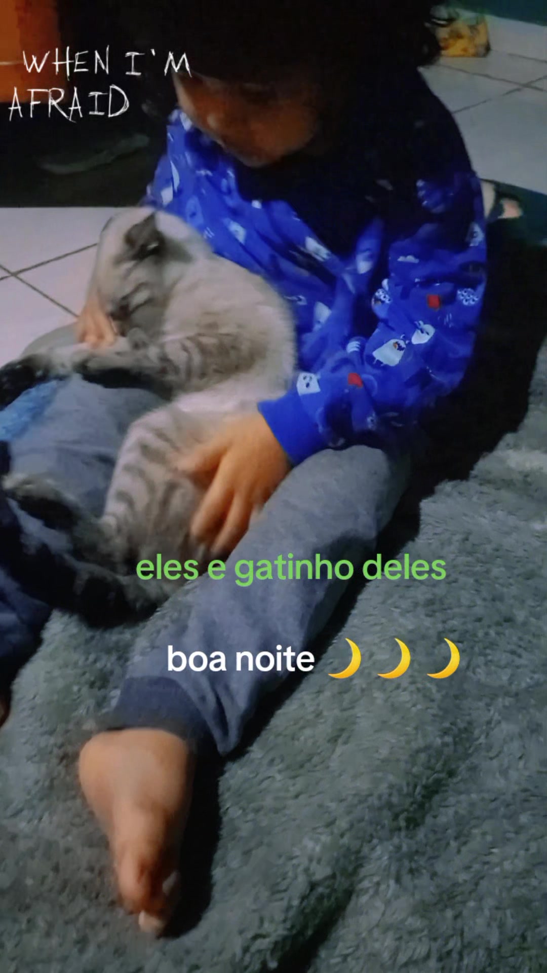 @mabelsanchez8601