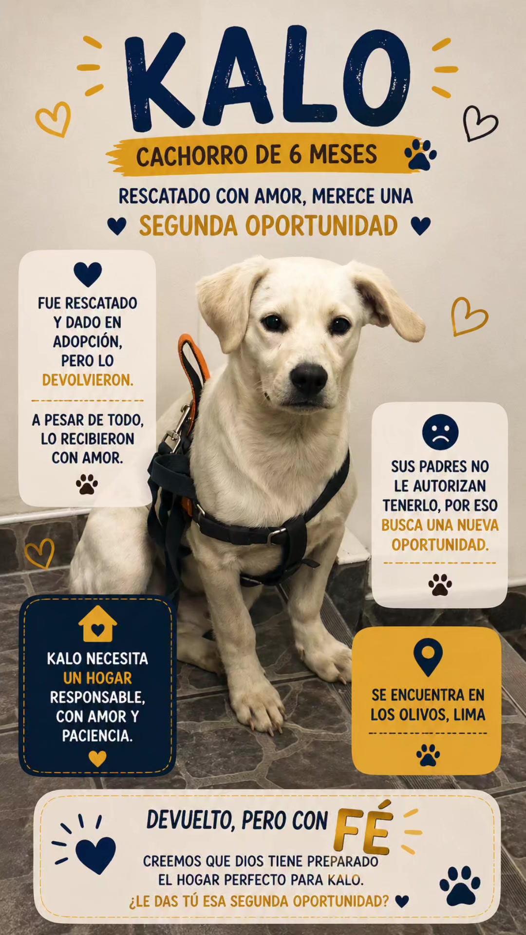 @Perritos Voladores