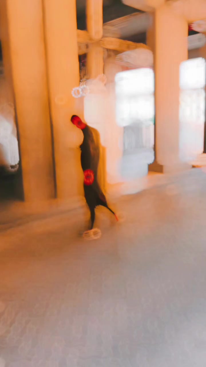 @♔︎𝒎𝒂𝒇𝒊𝒂𝒃𝒐𝒚♔︎