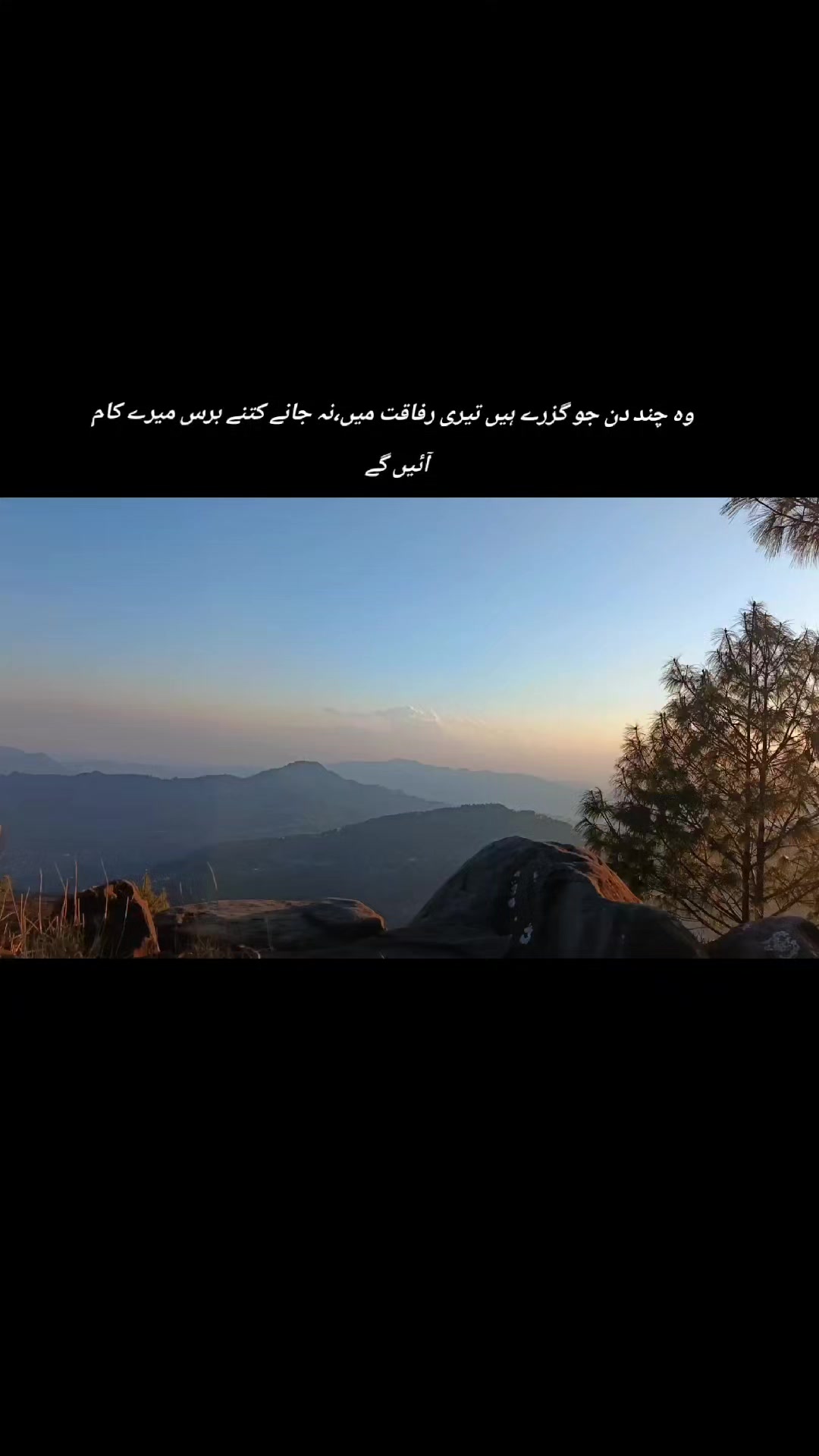 @❤️پیارے شیری✨❤️