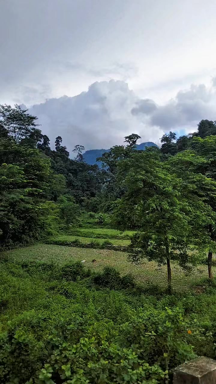 @Fast_Furious__@🇧🇹