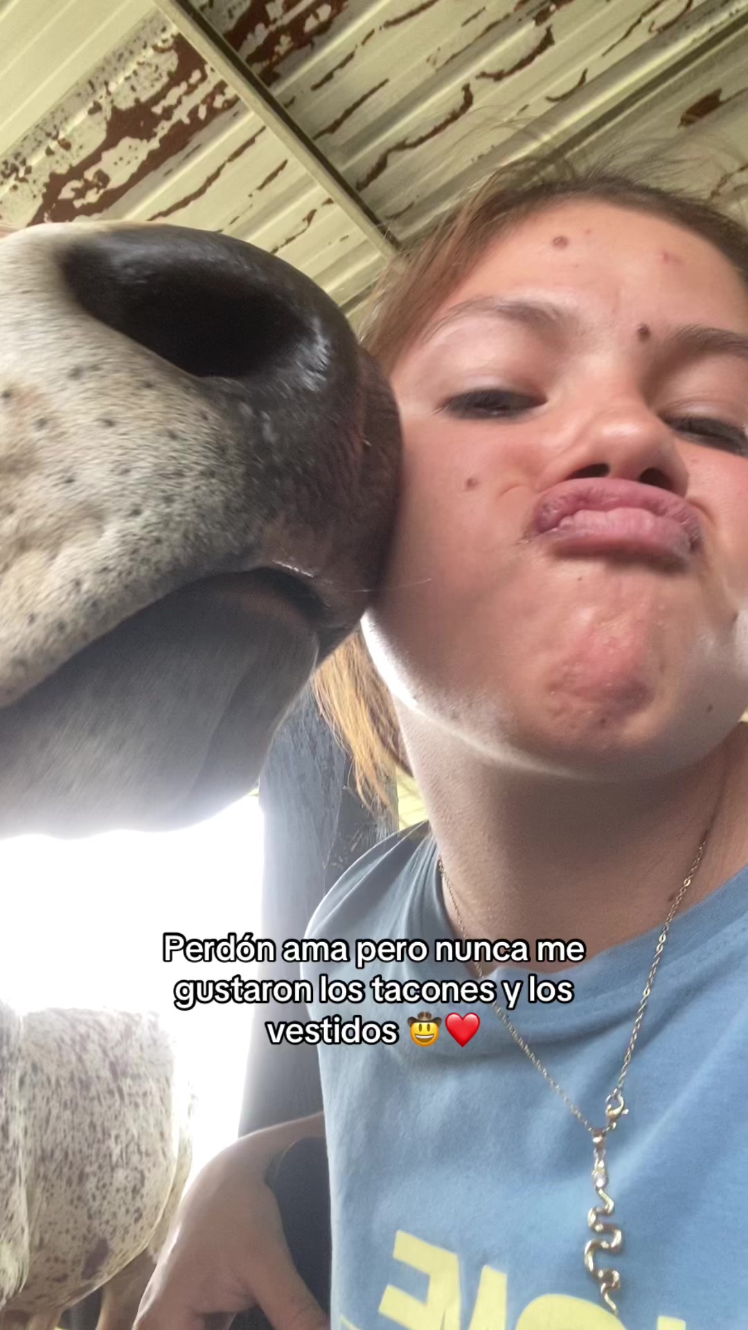 @Castañeda Rubio 🤠❤️