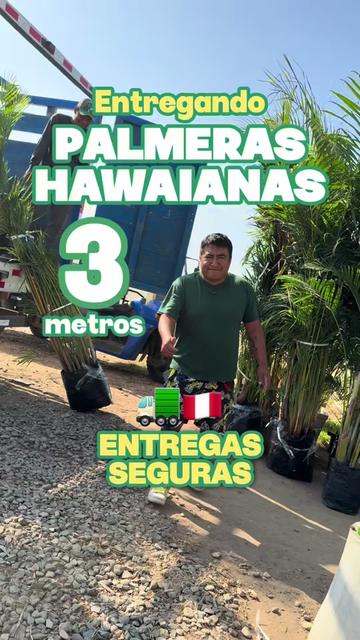 @VIVERO LAS G🦁RDENIAS|TRUJILLO