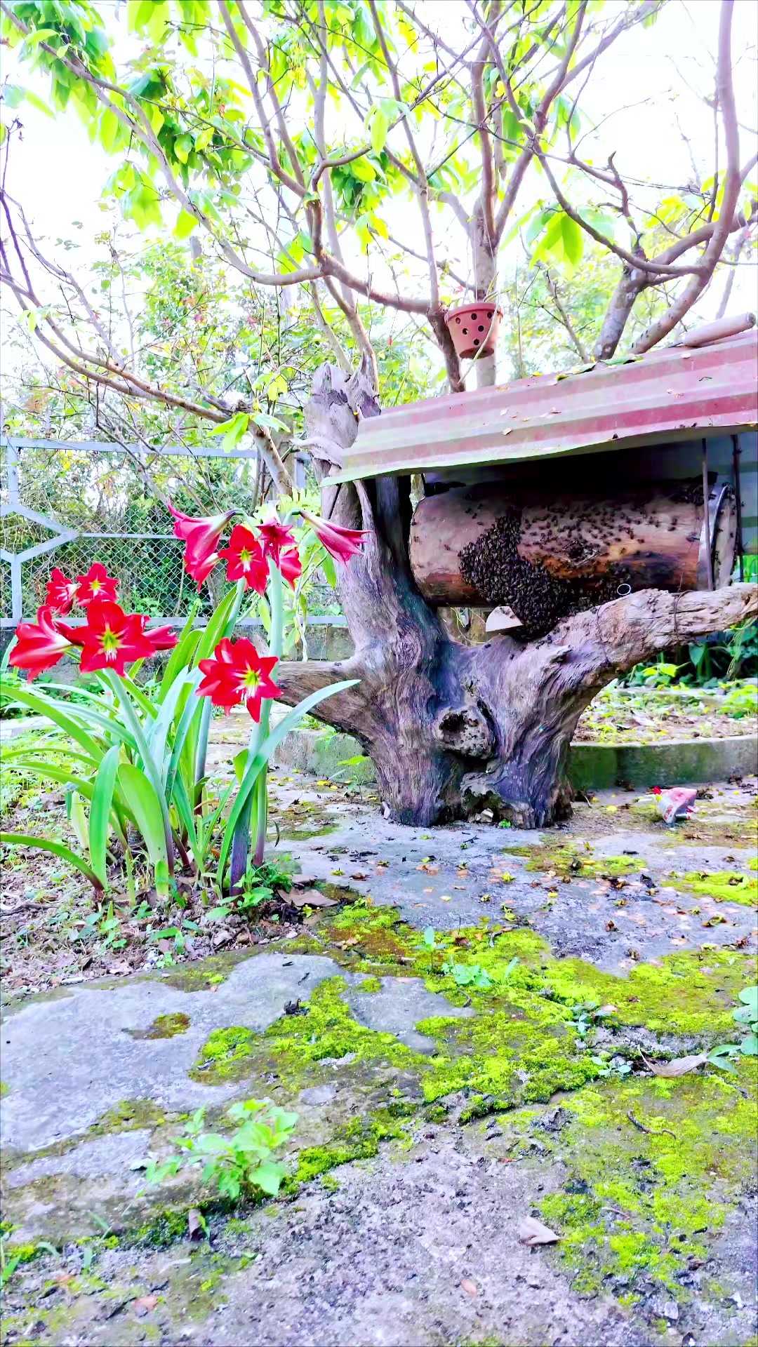 @Kết Nối Đam Mê Ong