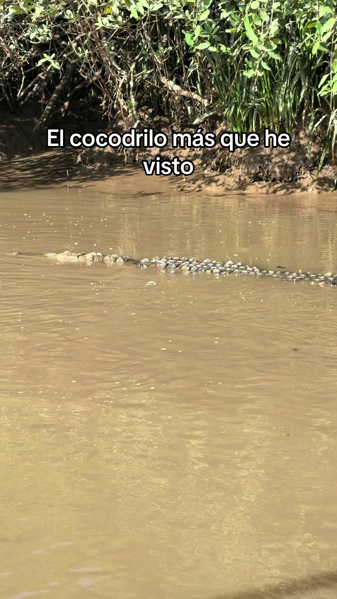 @Jair Herrera 🐆