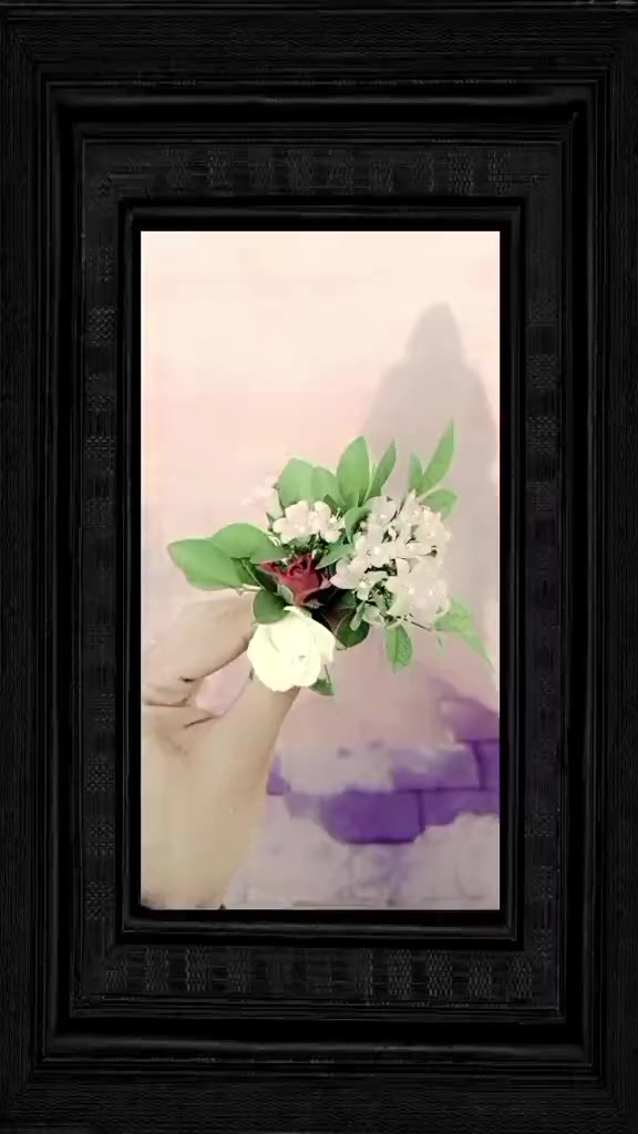 @🕊️🌸ـﮩﮩᎪຮ𝖍υ