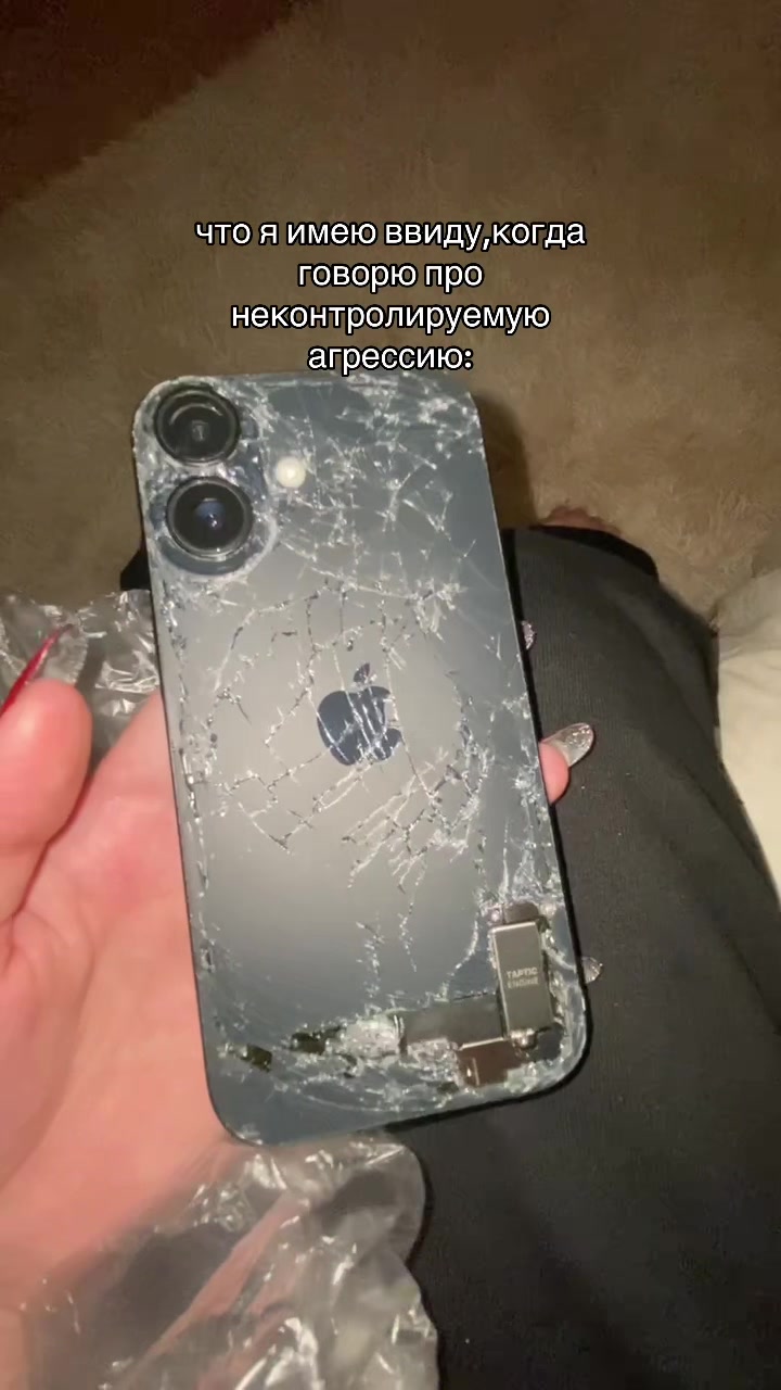 @кошка