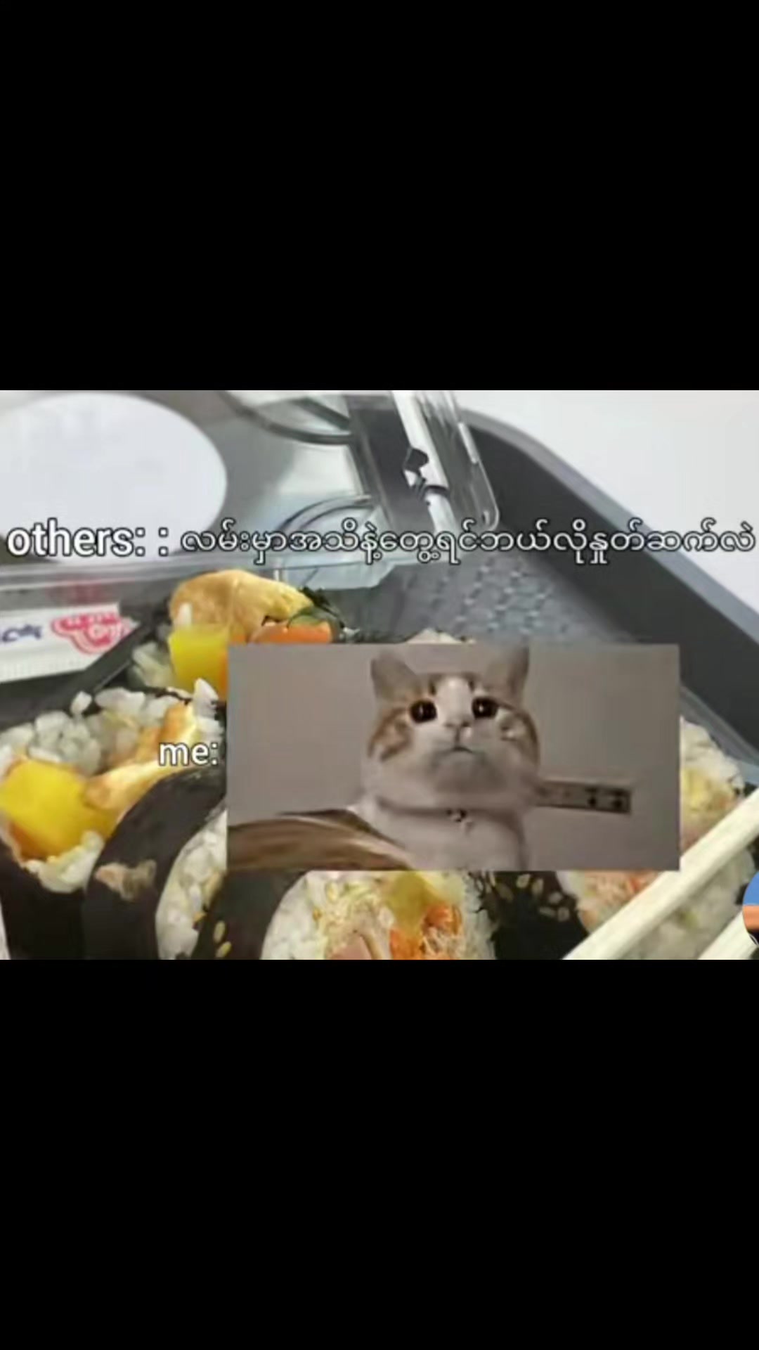 @꧁ 蒋晨阳 ꧂