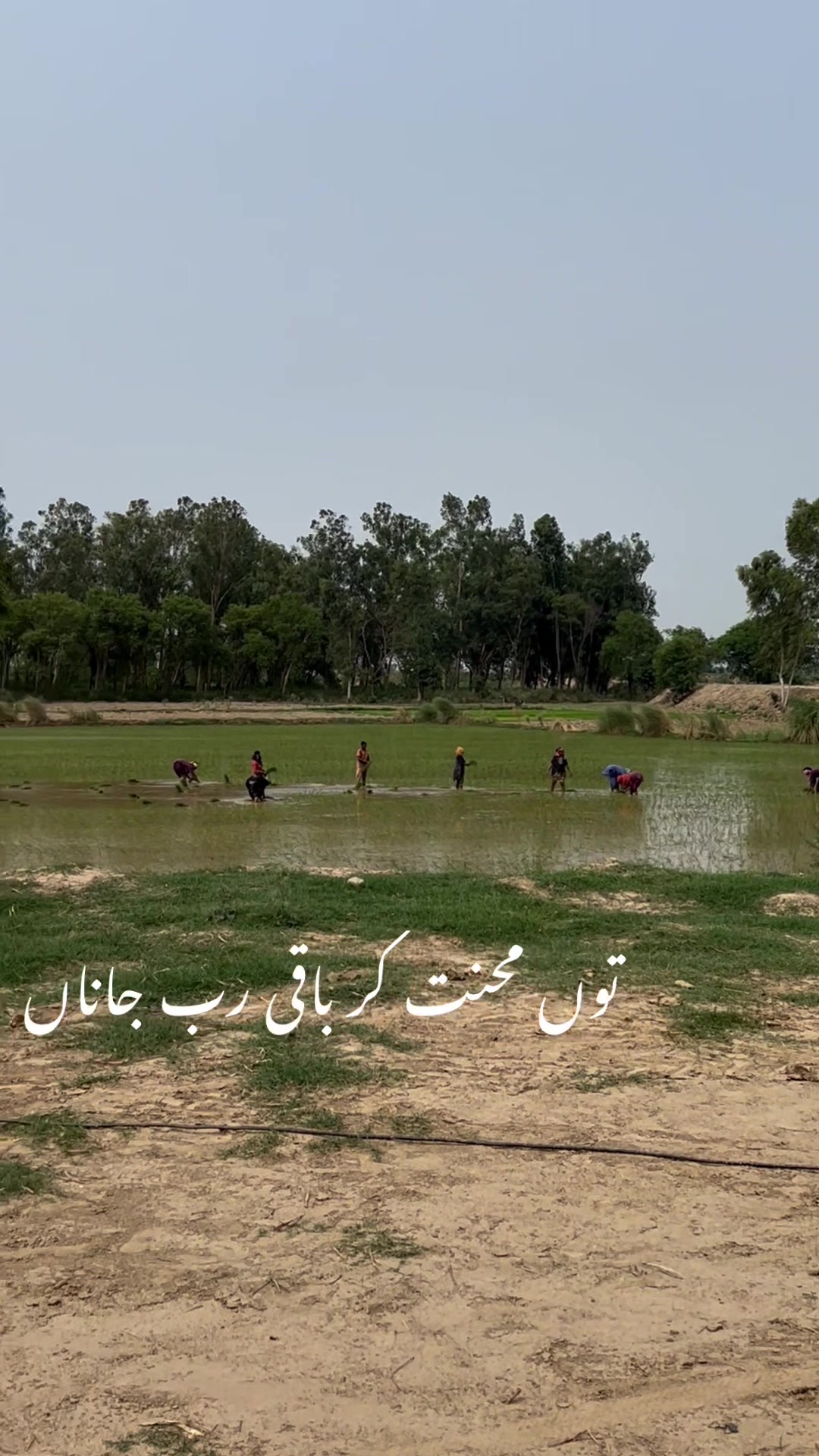 @محمدانتظار چیمہ