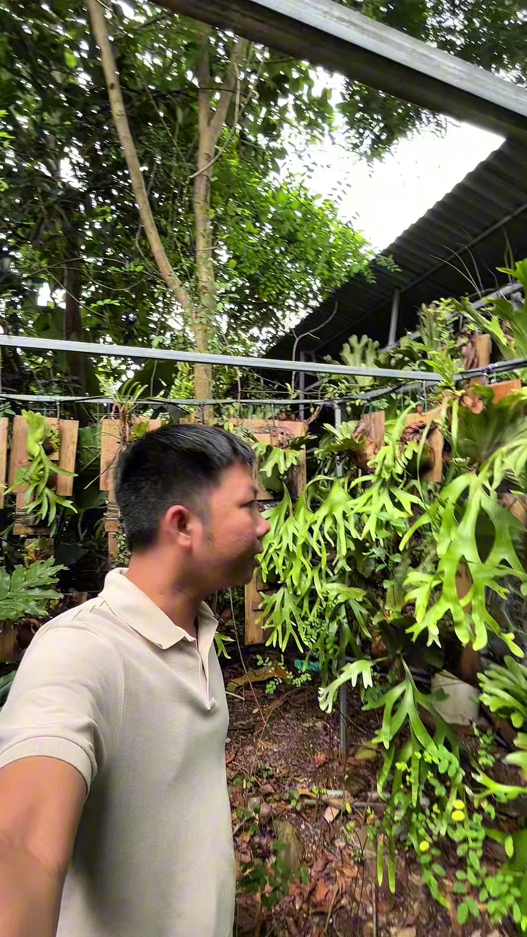 @Huy Kiểng Lá