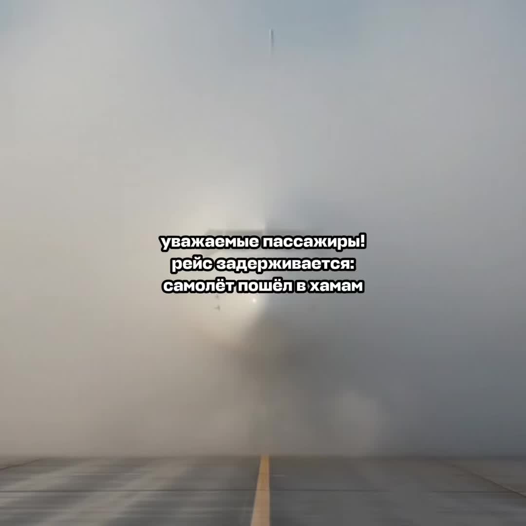 @Aviasales ✈️