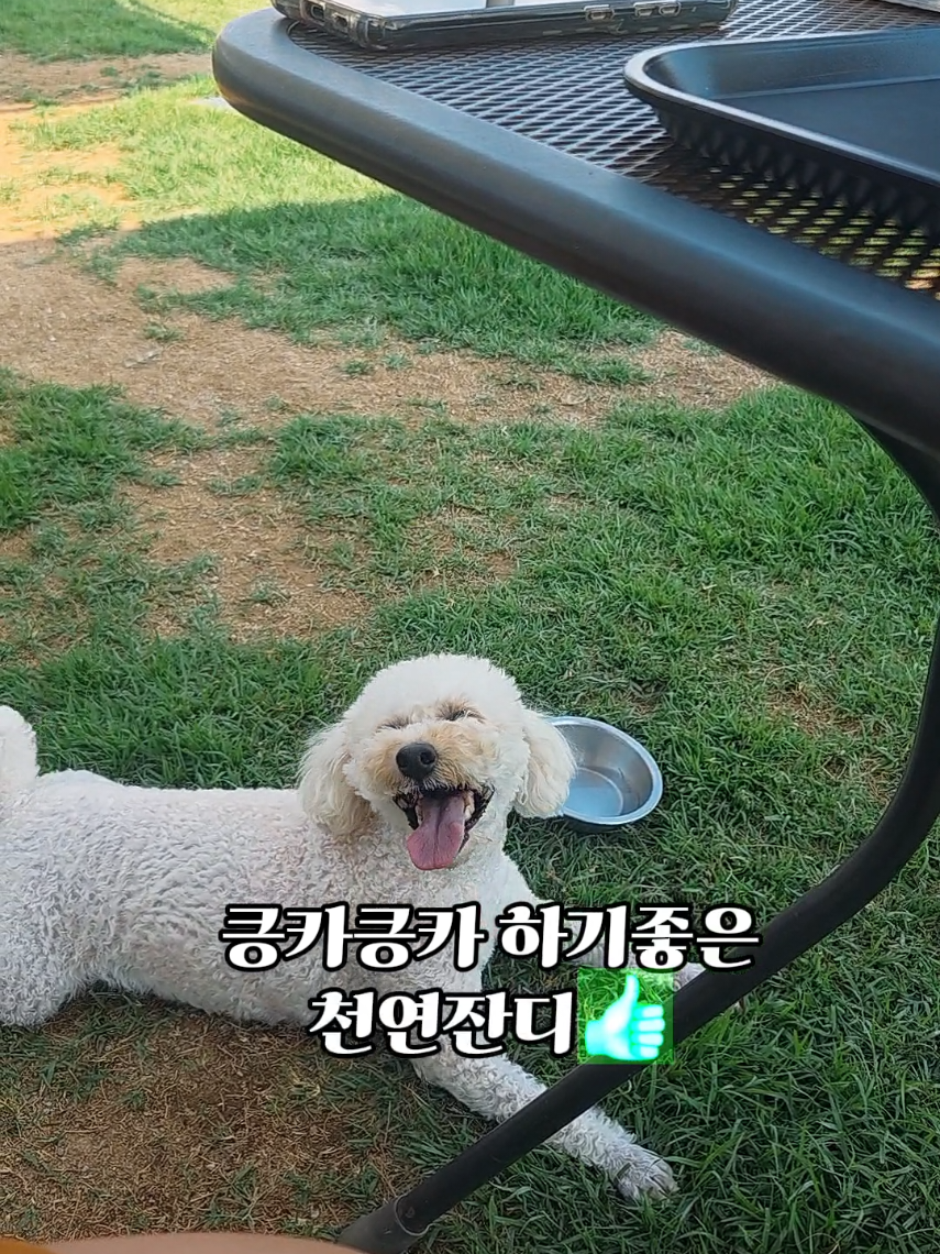 @🔎◀️ 제품보기 클릭 ◀️