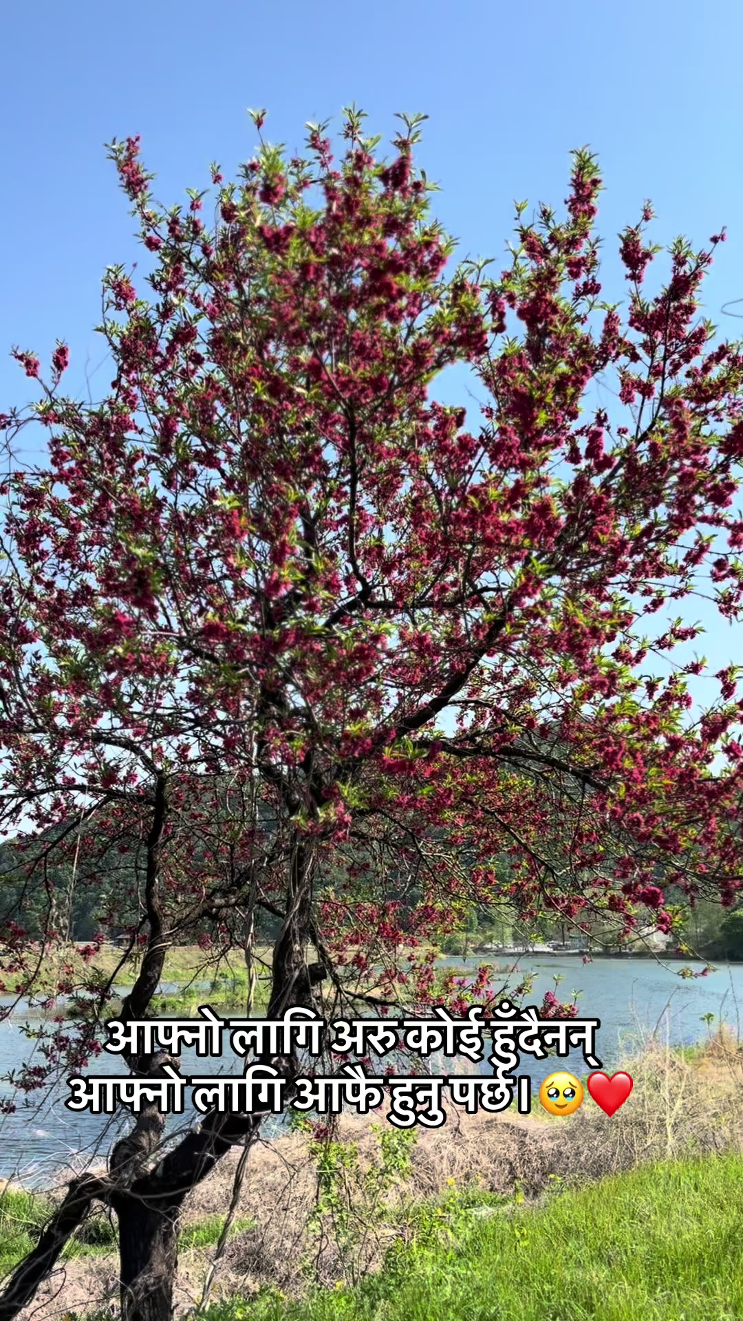 @सविना🇳🇵❤️🇰🇷