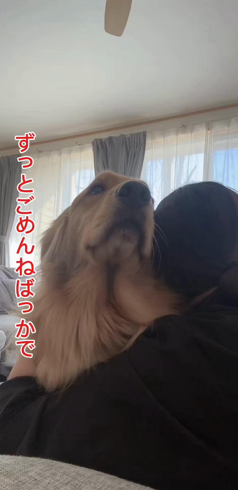 @ACIKA🇯🇵🇲🇨MOMO🍑🐶