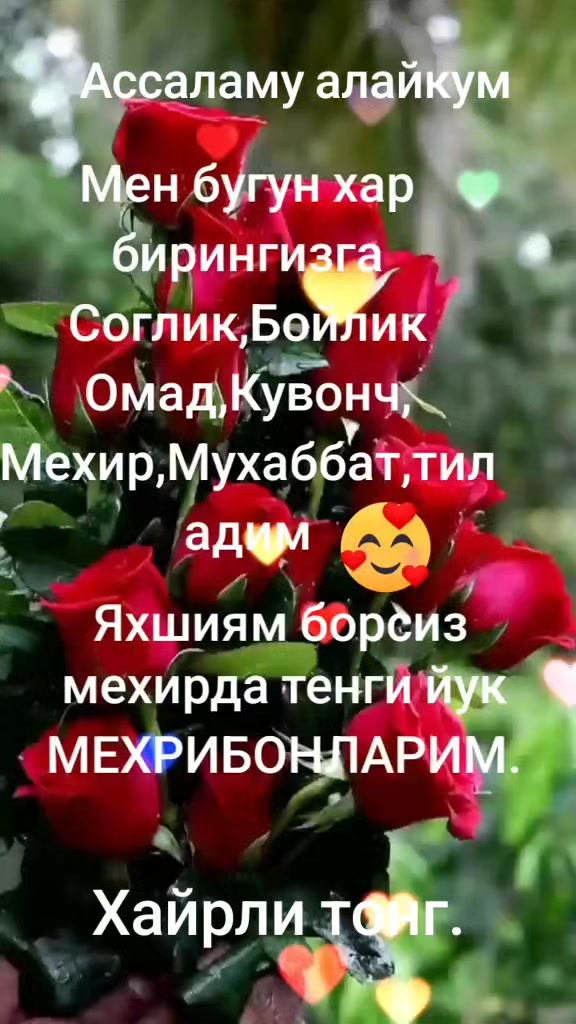 @RAYA_29_66