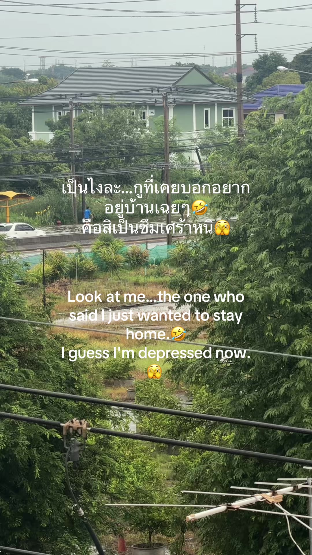@candyhack🧚♀️🪽🪼🥥