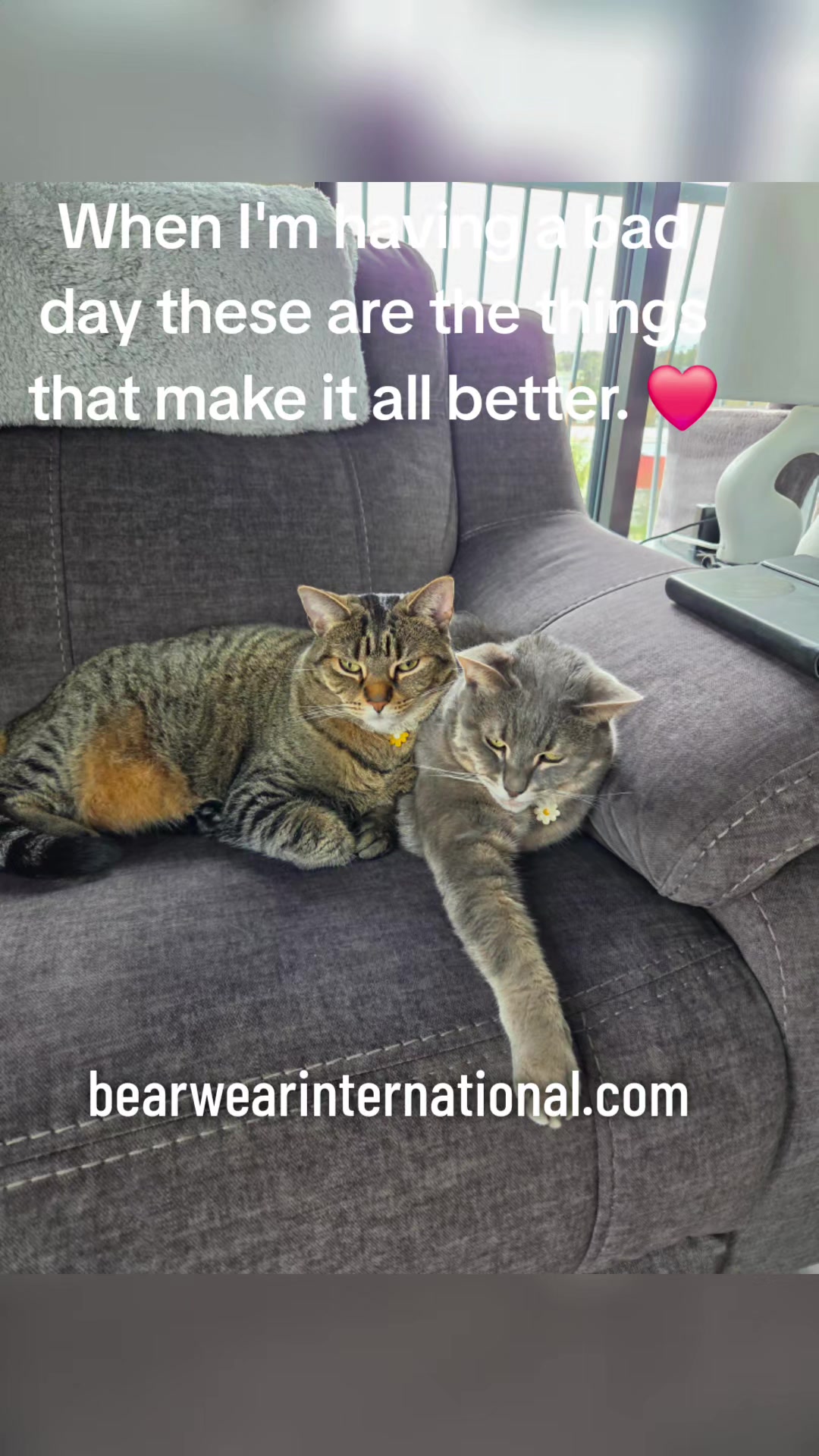 @BearWear International