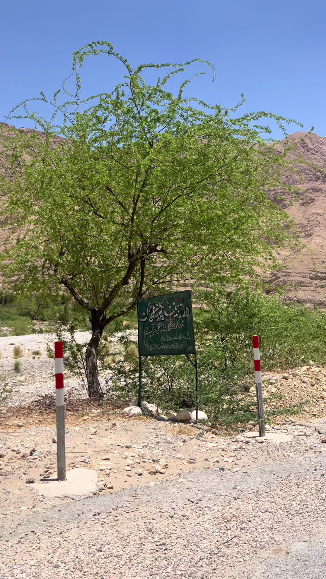 @🌋SHAHZAIB🗿🧐