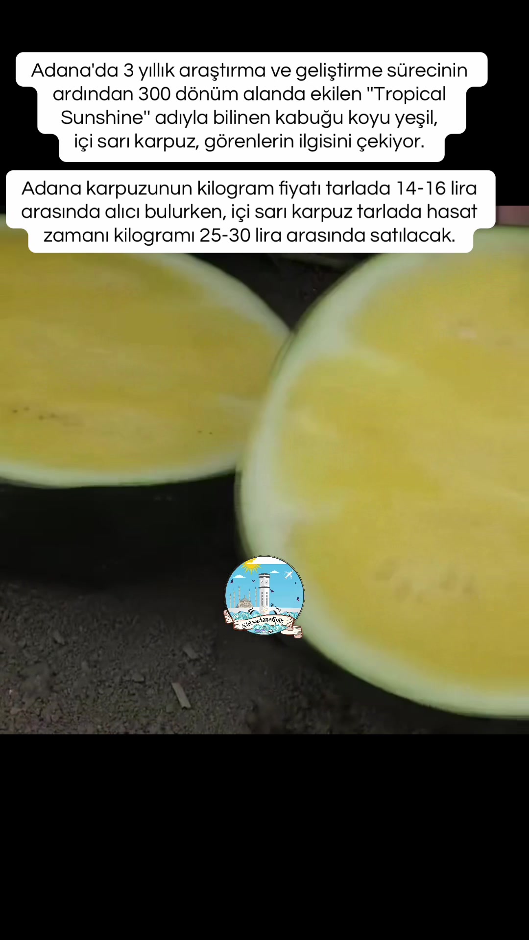 @Bizadanaliyik